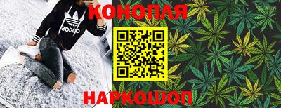 прущие грибы Дубна