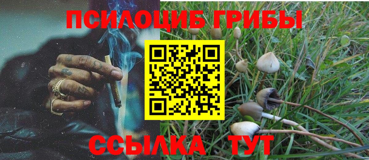 Магнитогорск  Псилоцибиновые грибы GOLDEN TEACHER  Вход с VPN 