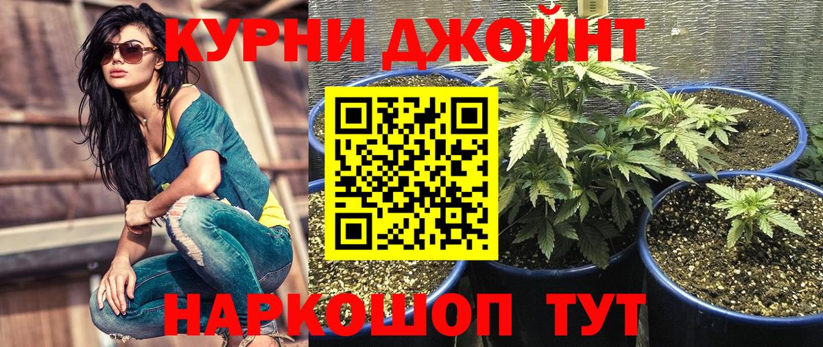 Марихуана MAZAR  Шишки марихуана Ganja  Магнитогорск  Вход с VPN  МАРИХУАНА Bruce Banner  Шишки марихуана OG Kush 